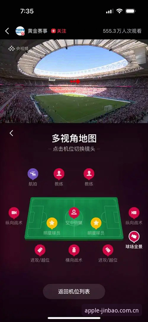 世界杯观赛体验受挫：地缘政治与签证政策全面评测